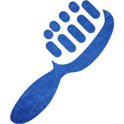 shoe brush 2 icon