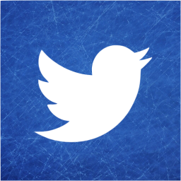 twitter 2 icon