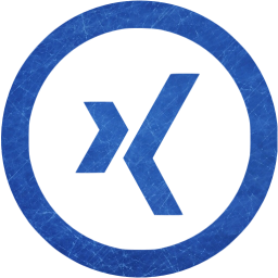 xing 5 icon