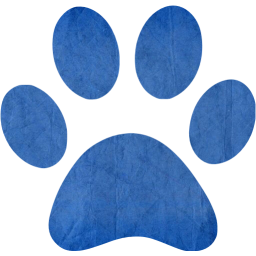 paw icon