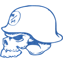 skull 14 icon