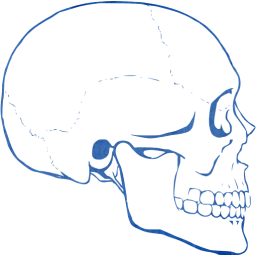 skull 62 icon