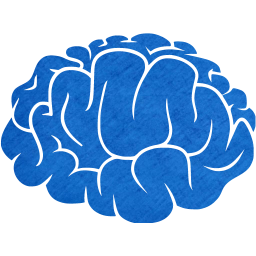 brain 2 icon