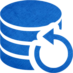 data backup icon