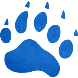 footprints bear icon