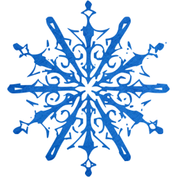 snowflake 10 icon