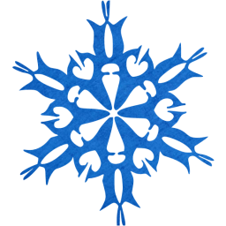 snowflake 30 icon