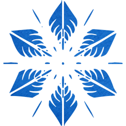 snowflake 5 icon