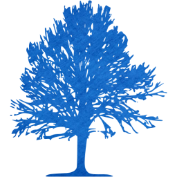 tree 24 icon