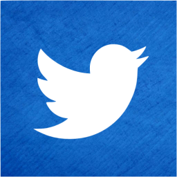 twitter 2 icon