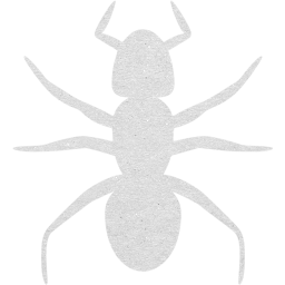 ant 3 icon