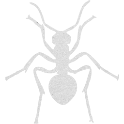 ant icon