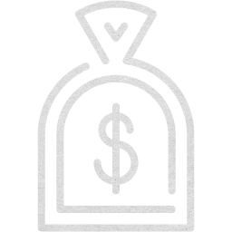 dollar icon