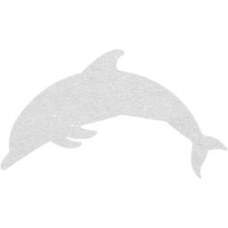 dolphin icon