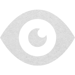 eye 2 icon