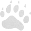 footprints bear