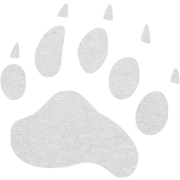 footprints bear icon