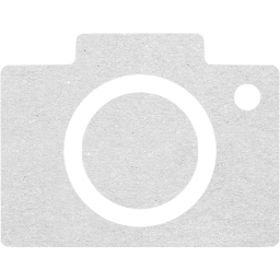 google images icon