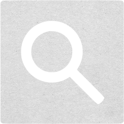 google web search icon