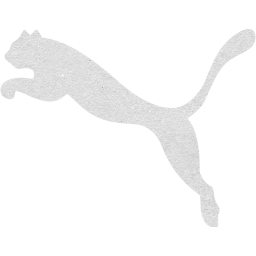 puma 2 icon