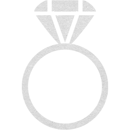 ring 2 icon