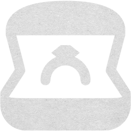 ring icon