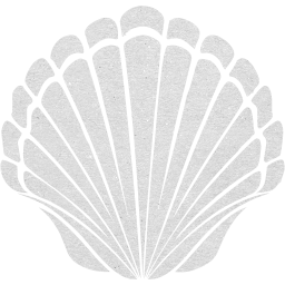 seashell 2 icon