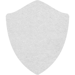 shield icon