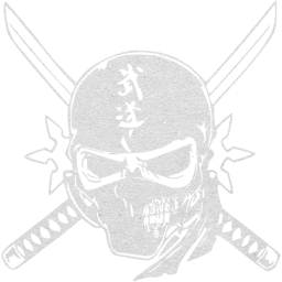 skull 11 icon