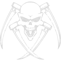 skull 30 icon