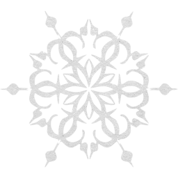 snowflake 13 icon