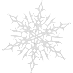 snowflake 14 icon