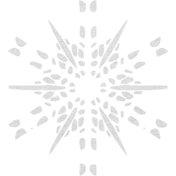 snowflake 19 icon