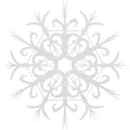 snowflake 28 icon