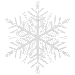 snowflake 37 icon