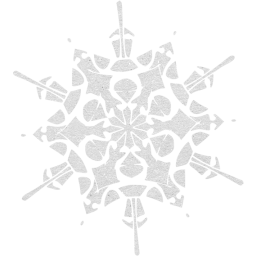 snowflake 40 icon