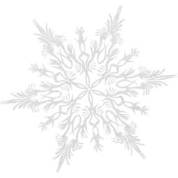 snowflake 41 icon