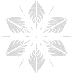 snowflake 5 icon