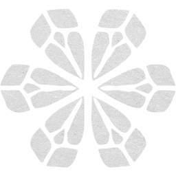 snowflake 9 icon