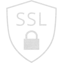 ssl badge icon