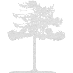 tree 44 icon