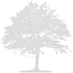 tree 46 icon