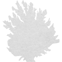 tree 66 icon