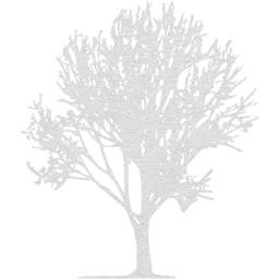 tree 68 icon