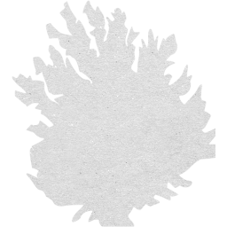 tree 8 icon