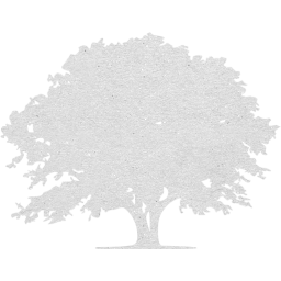 tree 9 icon