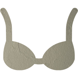 bra icon