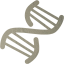 dna helix