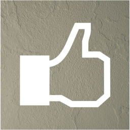 facebook like 2 icon