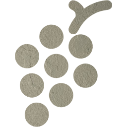 grapes icon